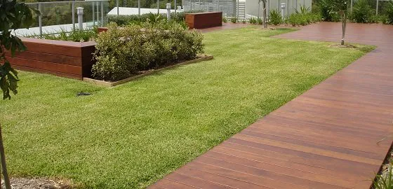 DSC07597-560x270-34